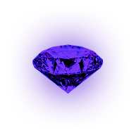 Nutrition & Diet Management