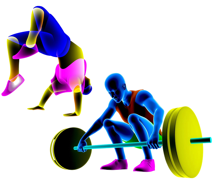 Why Choose WRATHCODE for Fitness App Development?