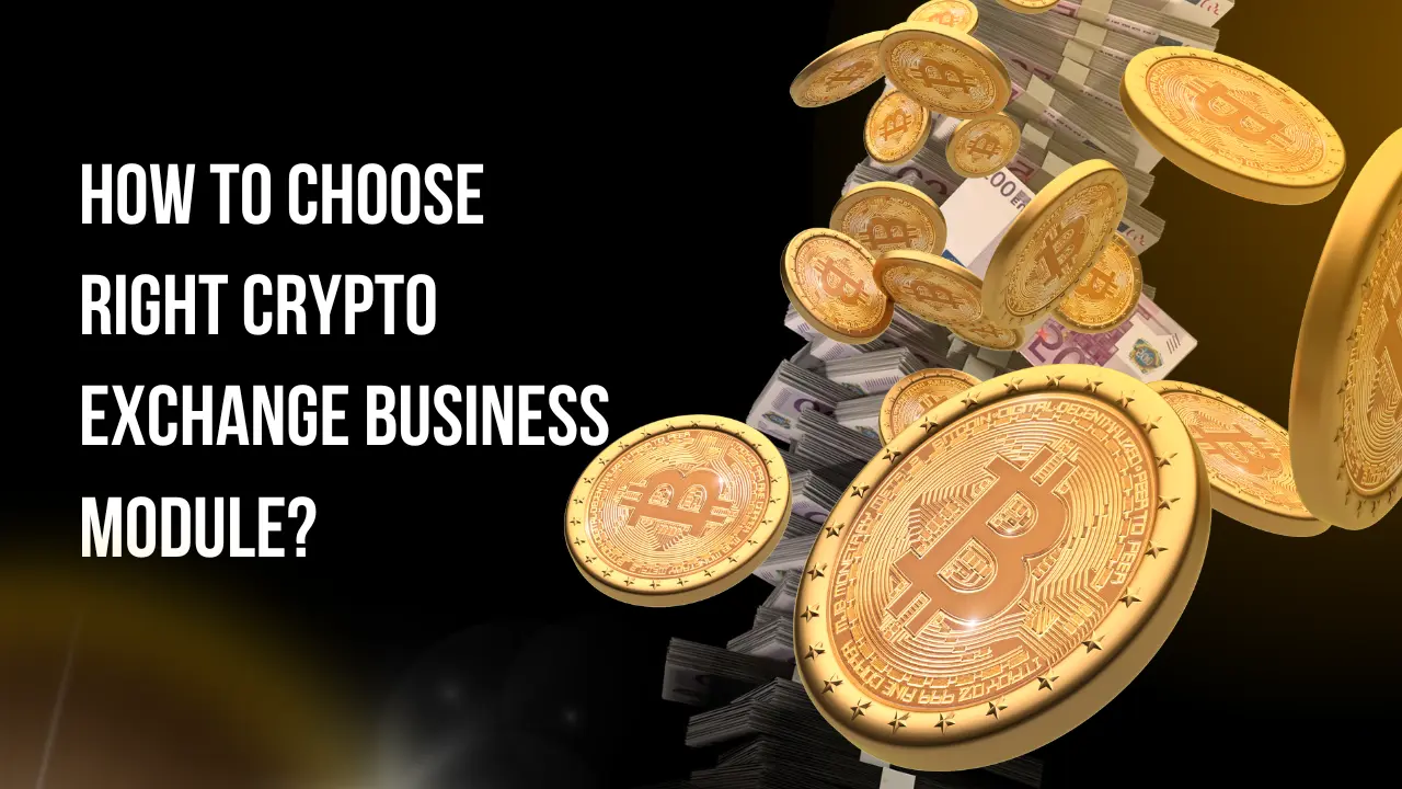 How To Choose Right Crypto Exchange Business Module?